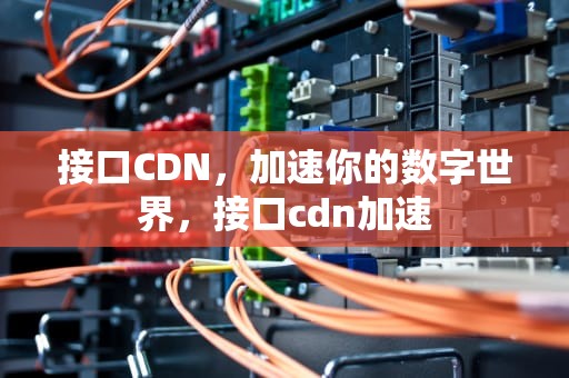 接口CDN，加速你的数字世界，接口cdn加速