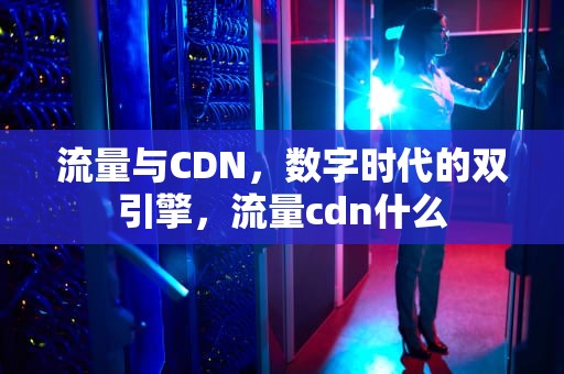 流量与CDN，数字时代的双引擎，流量cdn什么