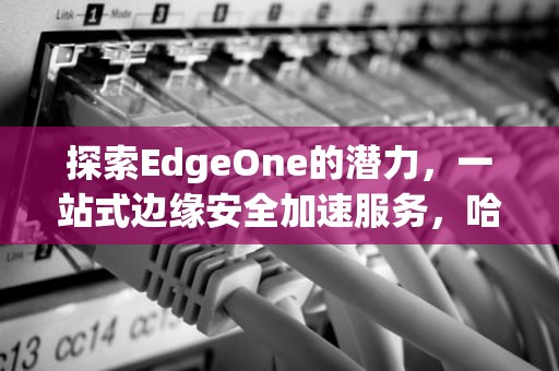 探索EdgeOne的潜力，一站式边缘安全加速服务，哈士奇CDV阳性
