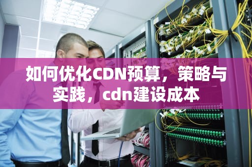 如何优化CDN预算，策略与实践，cdn建设成本