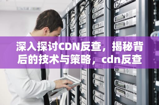 深入探讨CDN反查，揭秘背后的技术与策略，cdn反查