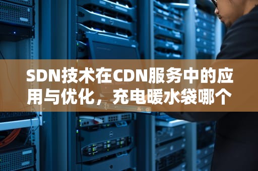SDN技术在CDN服务中的应用与优化，充电暖水袋哪个品牌好