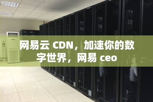 网易云 CDN，加速你的数字世界，网易 ceo