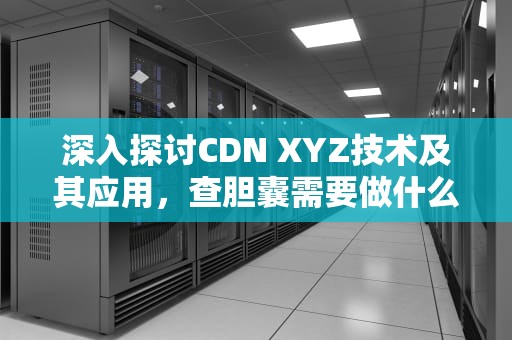 深入探讨CDN XYZ技术及其应用，查胆囊需要做什么检查