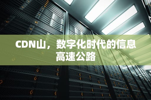 CDN山，数字化时代的信息高速公路