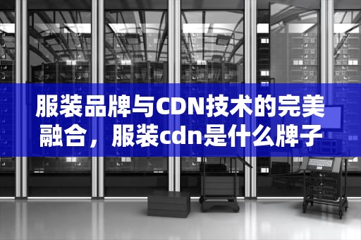 服装品牌与CDN技术的完美融合，服装cdn是什么牌子的衣服