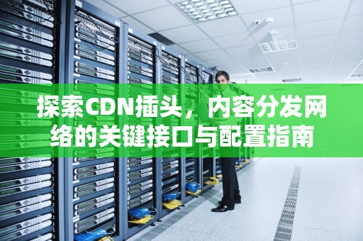 探索CDN插头，内容分发网络的关键接口与配置指南