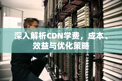 深入解析CDN学费，成本、效益与优化策略