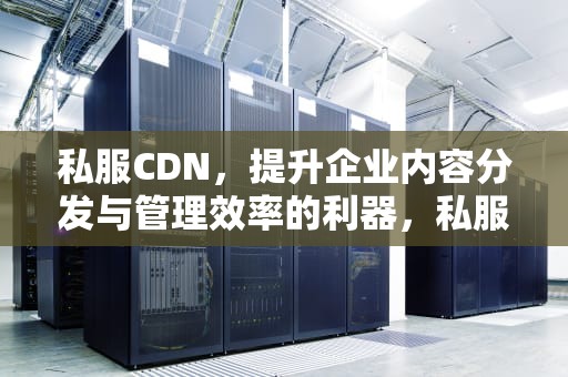 私服CDN，提升企业内容分发与管理效率的利器，私服被抓