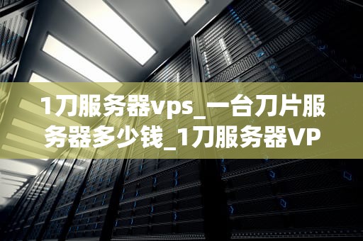 1刀服务器vps_一台刀片服务器多少钱_1刀服务器VPS的全面解析