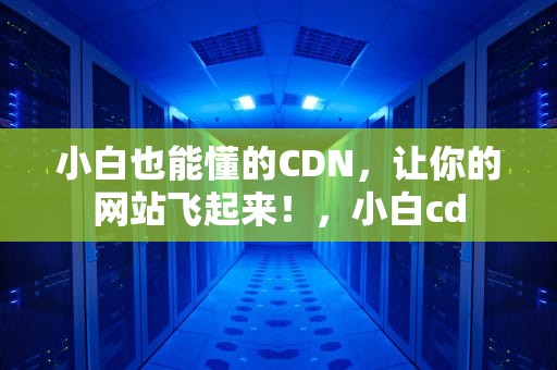 小白也能懂的CDN，让你的网站飞起来！，小白cd