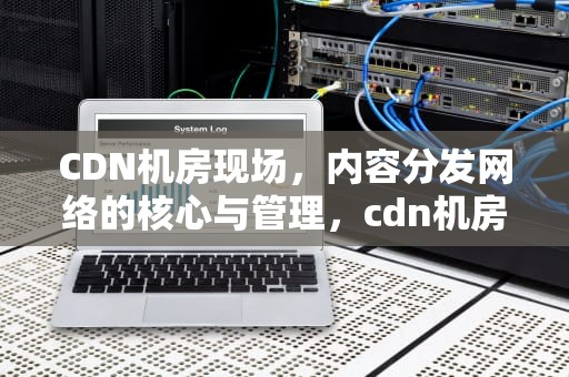 CDN机房现场，内容分发网络的核心与管理，cdn机房 成本