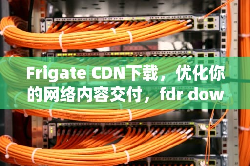 Frigate CDN下载，优化你的网络内容交付，fdr downloaded