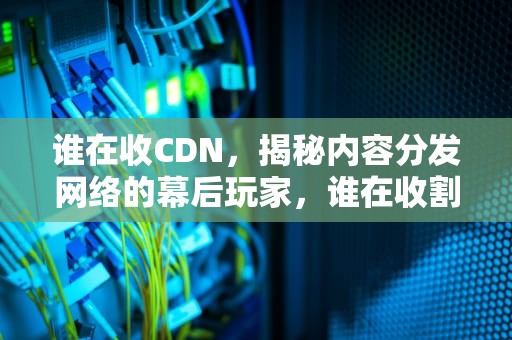 谁在收CDN，揭秘内容分发网络的幕后玩家，谁在收割股市