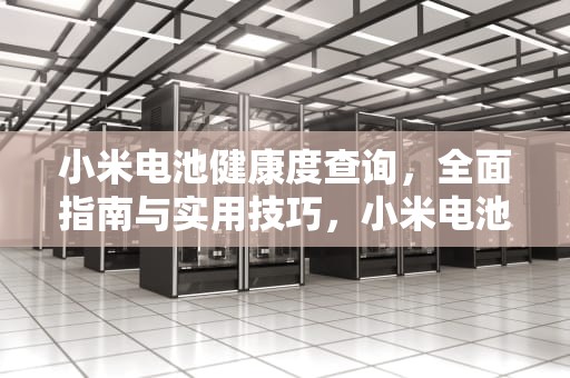小米电池健康度查询，全面指南与实用技巧，小米电池健康度怎么看