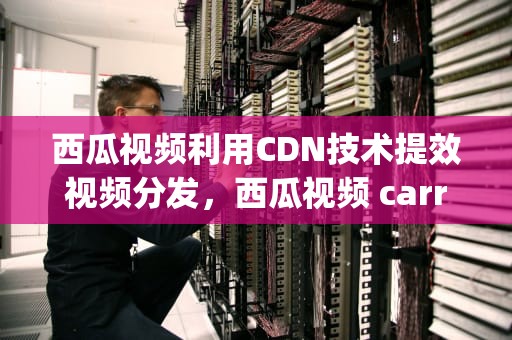 西瓜视频利用CDN技术提效视频分发，西瓜视频 carry.大格