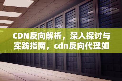 CDN反向解析，深入探讨与实践指南，cdn反向代理如何配置