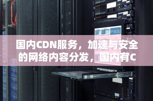 国内CDN服务，加速与安全的网络内容分发，国内有CDG PLAY门店
