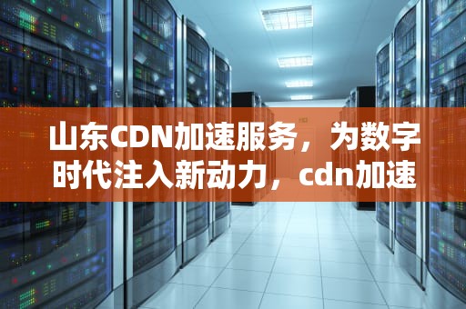 山东CDN加速服务，为数字时代注入新动力，cdn加速平台