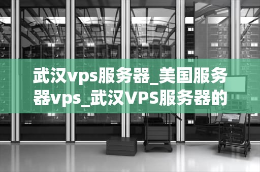 武汉vps服务器_美国服务器vps_武汉VPS服务器的优势与应用