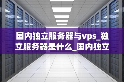 国内独立服务器与vps_独立服务器是什么_国内独立服务器与VPS的比较与选择