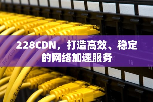 228CDN，打造高效、稳定的网络加速服务
