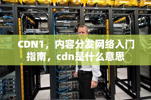 CDN1，内容分发网络入门指南，cdn是什么意思