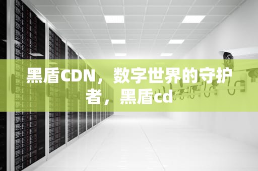 黑盾CDN，数字世界的守护者，黑盾cd