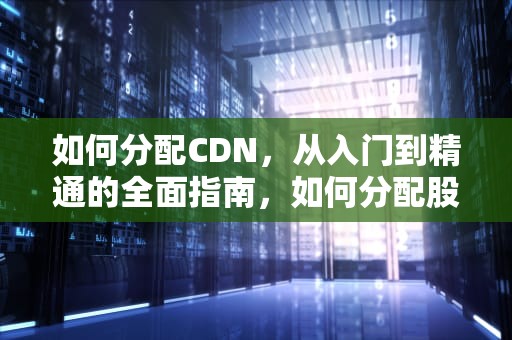 如何分配CDN，从入门到精通的全面指南，如何分配股权