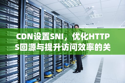 CDN设置SNI，优化HTTPS回源与提升访问效率的关键，Cdn设置 屏蔽pc访问