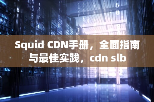 Squid CDN手册，全面指南与最佳实践，cdn slb