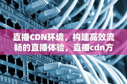 直播CDN环境，构建高效流畅的直播体验，直播cdn方案