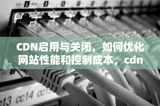 CDN启用与关闭，如何优化网站性能和控制成本，cdn在哪关掉