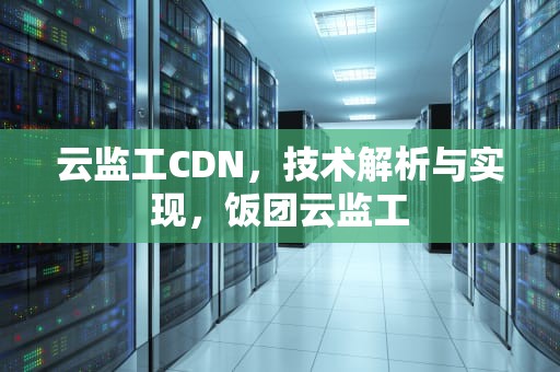 云监工CDN，技术解析与实现，饭团云监工