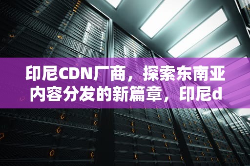 印尼CDN厂商，探索东南亚内容分发的新篇章，印尼dc公司