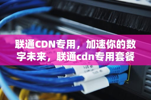联通CDN专用，加速你的数字未来，联通cdn专用套餐