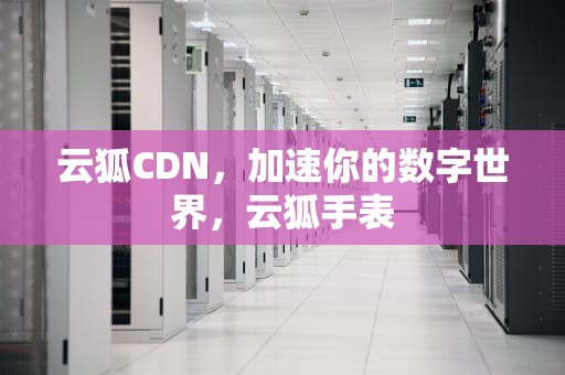 云狐CDN，加速你的数字世界，云狐手表