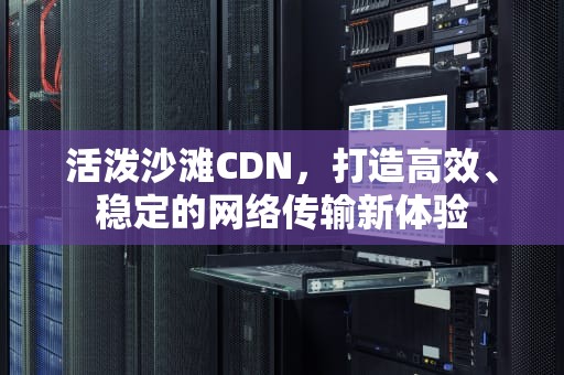 活泼沙滩CDN，打造高效、稳定的网络传输新体验