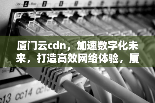 厦门云cdn，加速数字化未来，打造高效网络体验，厦门云水谣土楼值得去吗