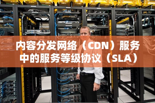 内容分发网络（CDN）服务中的服务等级协议（SLA）解析，cdn服务器连接异常