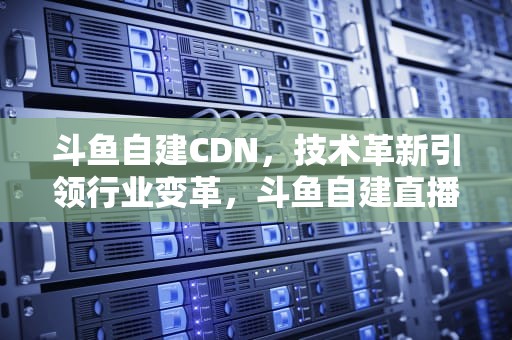 斗鱼自建CDN，技术革新引领行业变革，斗鱼自建直播