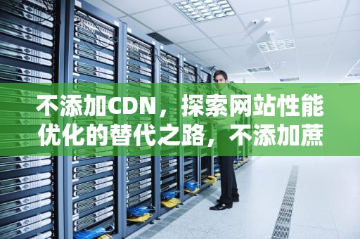 不添加CDN，探索网站性能优化的替代之路，不添加蔗糖是无糖吗