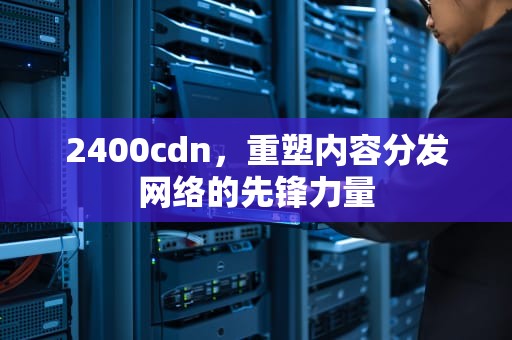 2400cdn，重塑内容分发网络的先锋力量