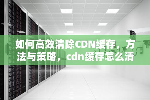 如何高效清除CDN缓存，方法与策略，cdn缓存怎么清除