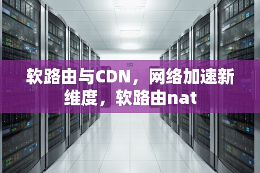 软路由与CDN，网络加速新维度，软路由nat