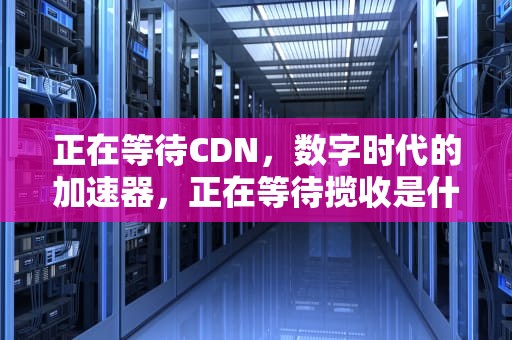 正在等待CDN，数字时代的加速器，正在等待揽收是什么意思