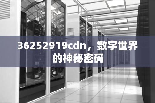 36252919cdn，数字世界的神秘密码