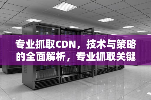 专业抓取CDN，技术与策略的全面解析，专业抓取关键字新闻的软件