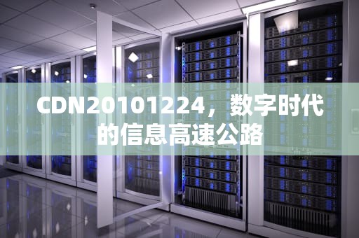 CDN20101224，数字时代的信息高速公路