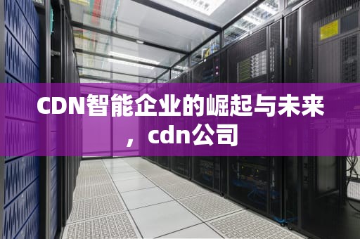 CDN智能企业的崛起与未来，cdn公司